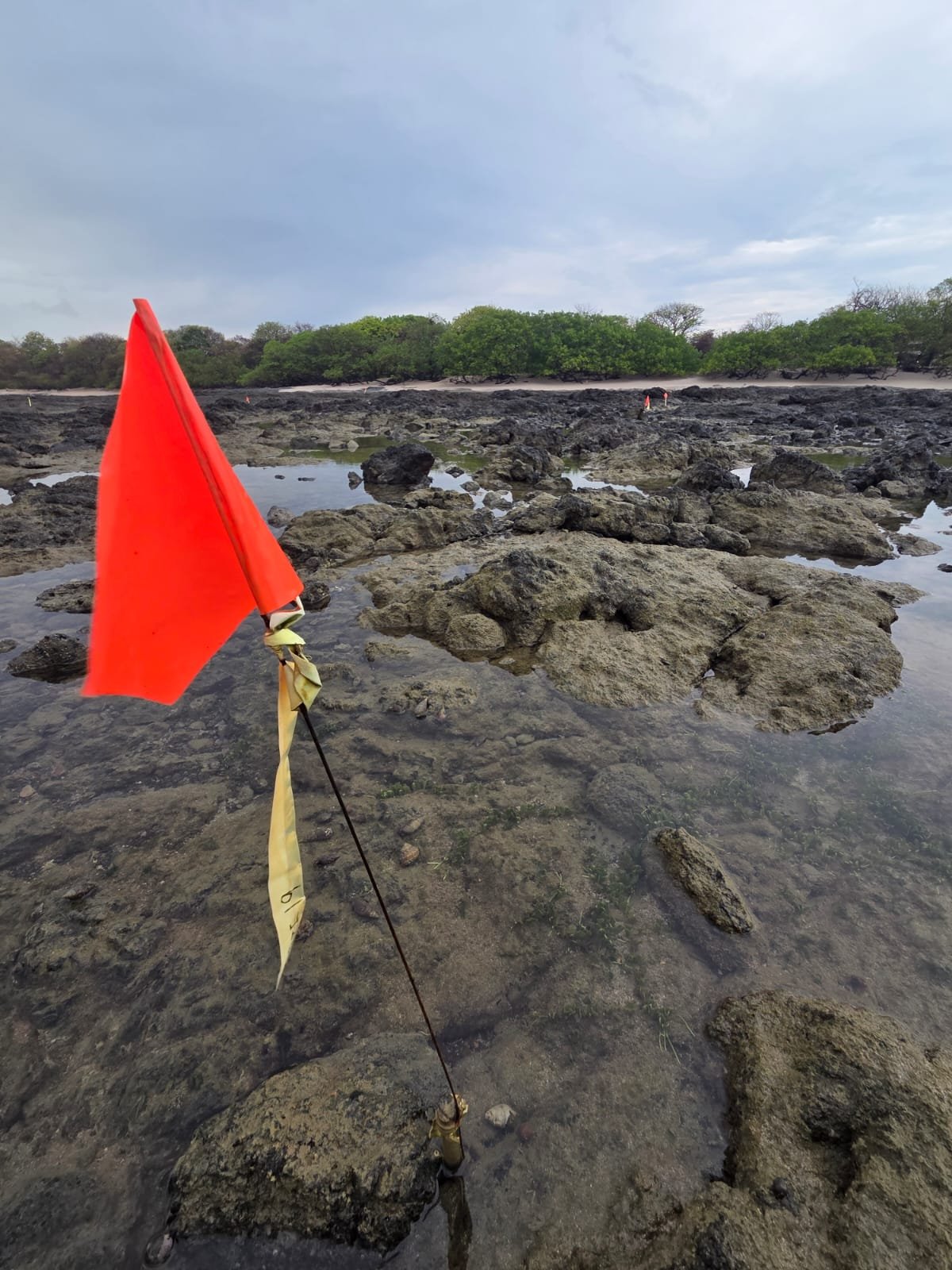 Reference markers on the rocky shoreline