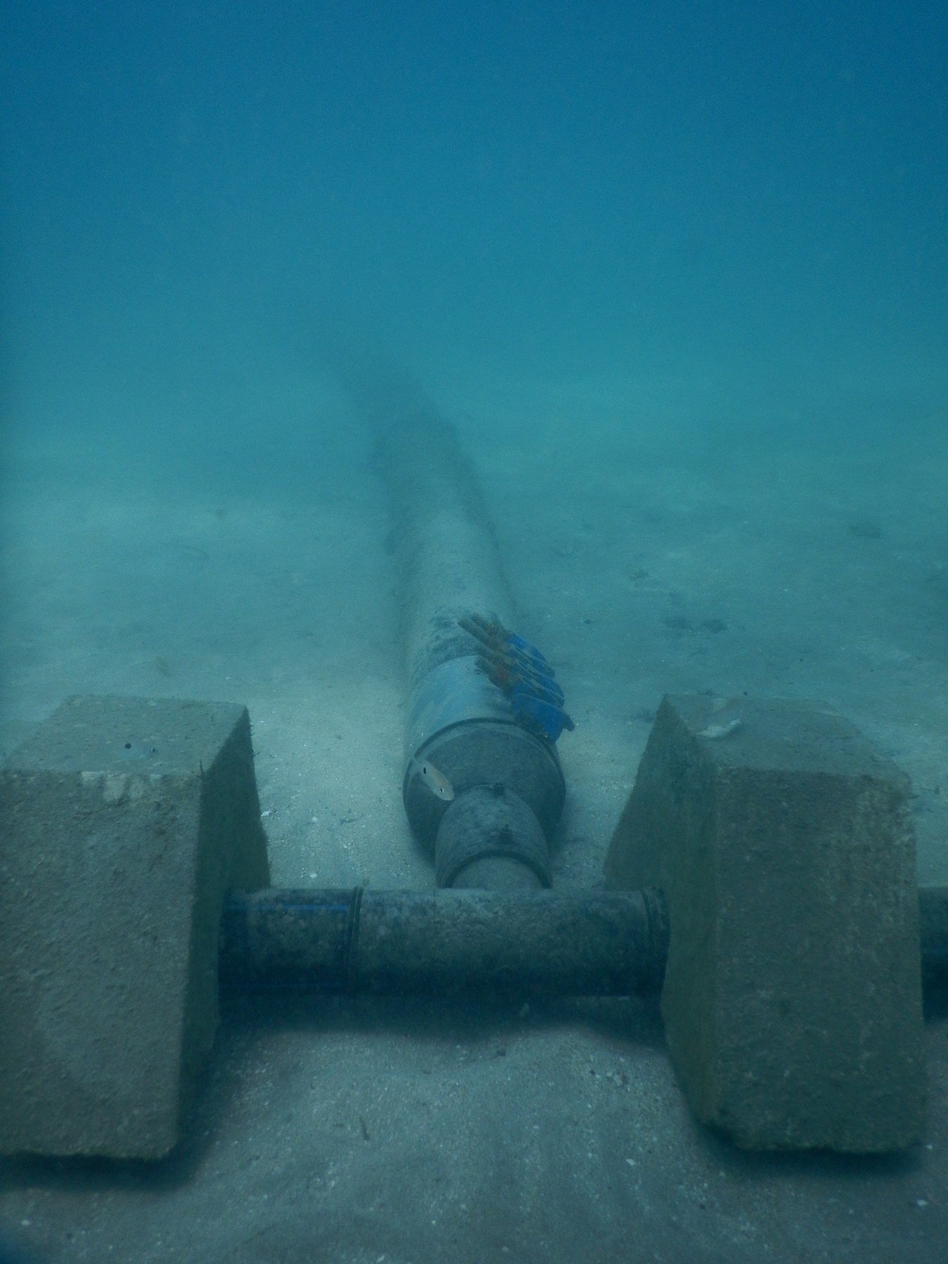 Pipeline alignment and supports on the seabed